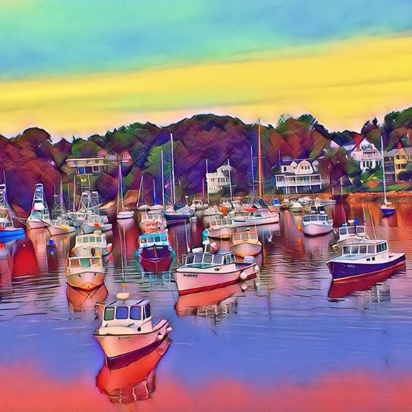 Meet your Posher, Lynn - Picture 1 of 1